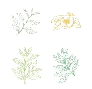 卡通手绘树叶图片