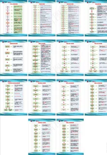 养猪  正邦 流程图片