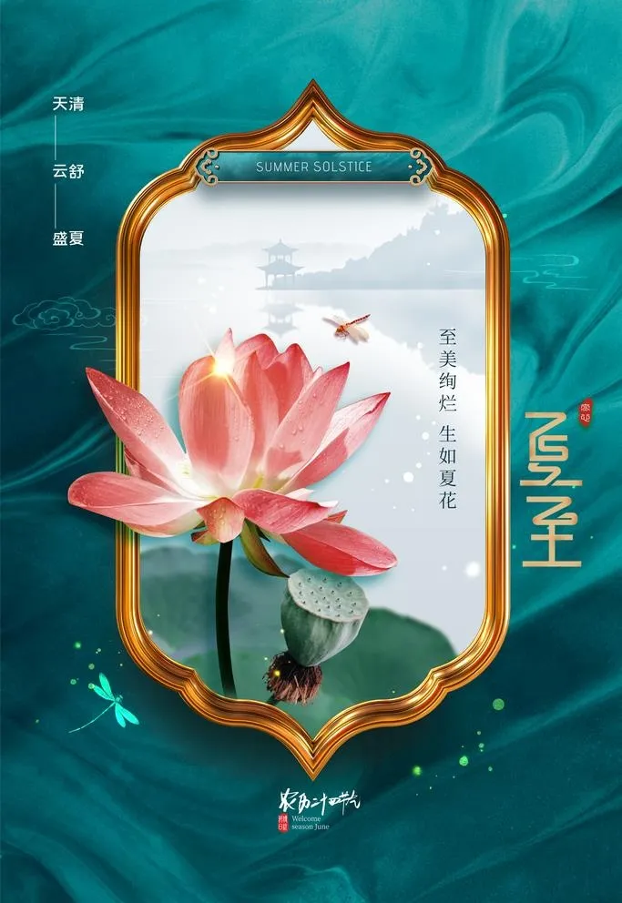 简约复古荷花夏至节气海报图片