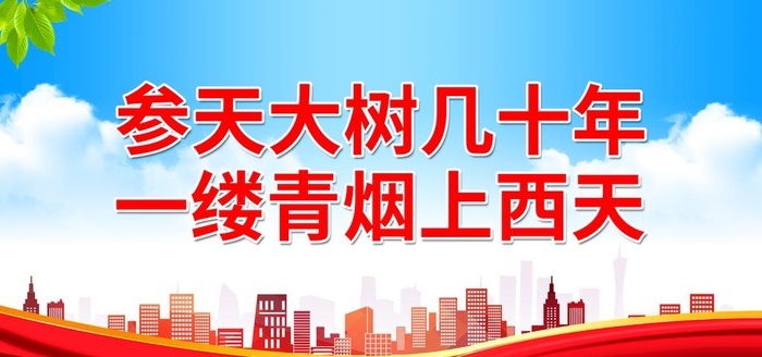 参天大树几十年图片(6000x3000)psd模版下载