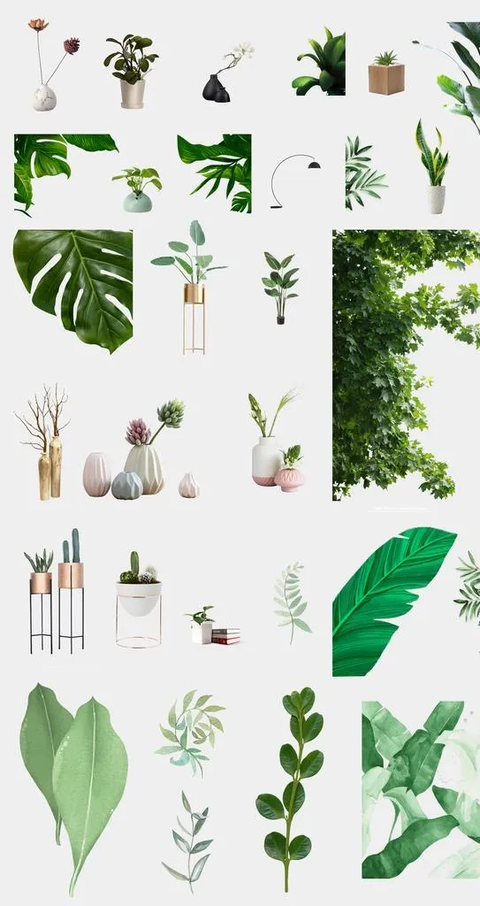 植物png素材图片(3000x5344)psd模版下载