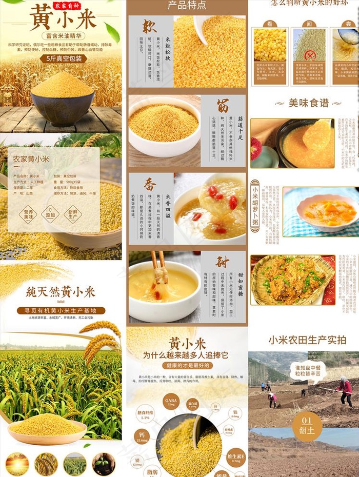 黄小米详情页图片(750x16300)psd模版下载