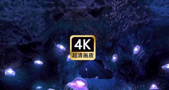 深海水母上游