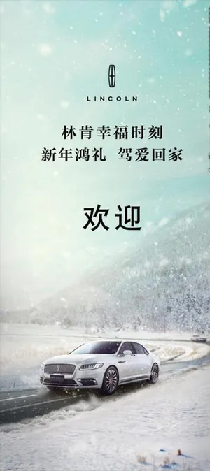 林肯雪天图片