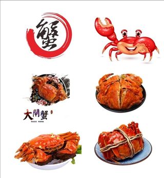 螃蟹海报素材免扣图层图片
