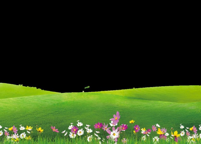 绿色简约草地草坪草原草丛花草植图片