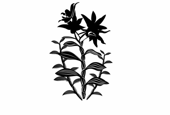 石斛花底纹图片ai矢量模版下载