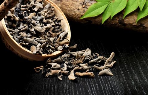 木耳图片 木耳图片