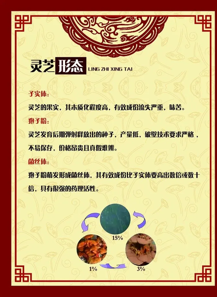 灵芝形态图片(2165x2835)psd模版下载