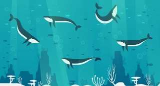 手绘卡通海底世界插画图片