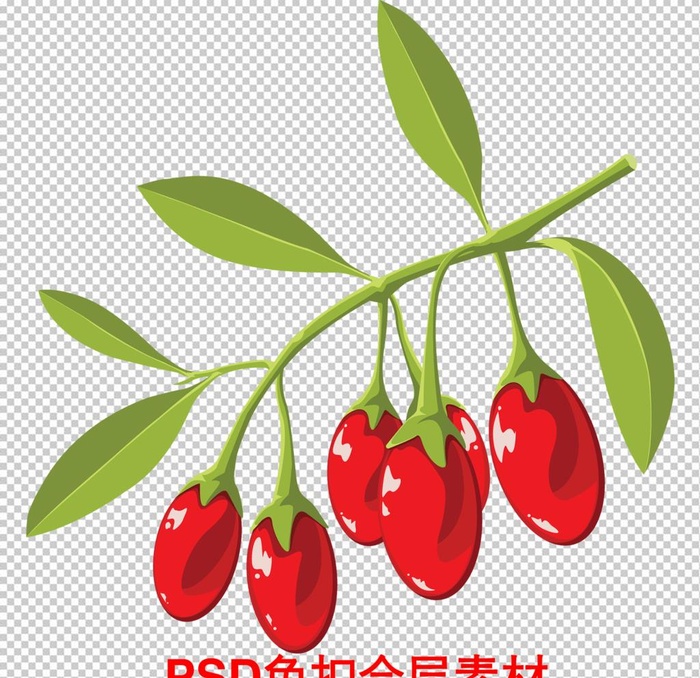 枸杞图片(1772x1772)psd模版下载