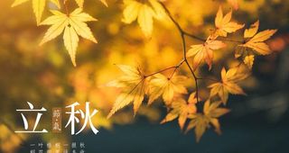 立秋节气海报 图片