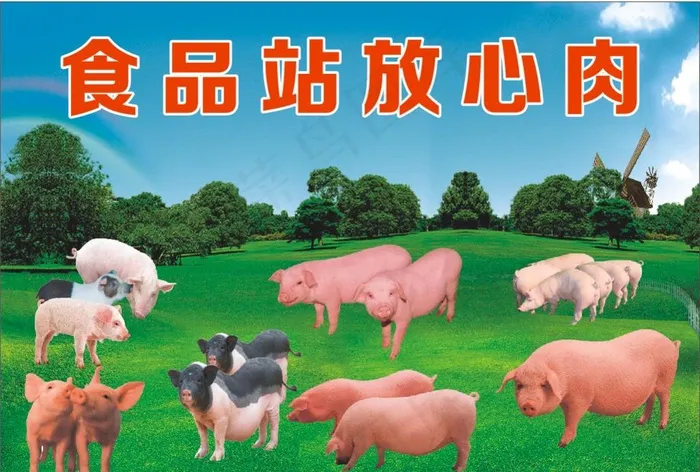 猪养殖场图片cdr矢量模版下载