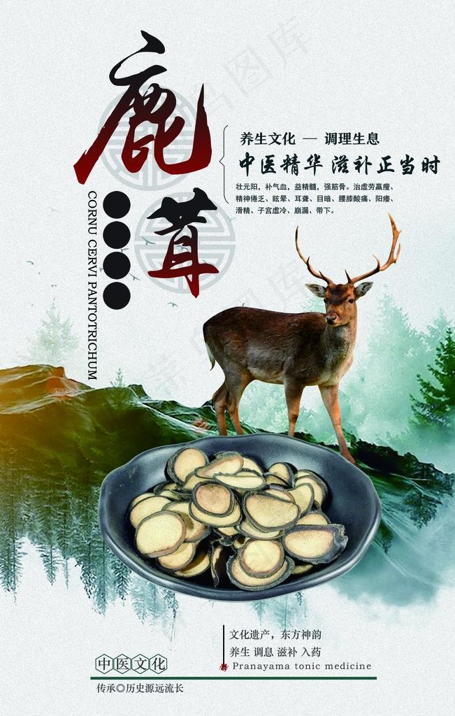 鹿茸海报图片psd模版下载