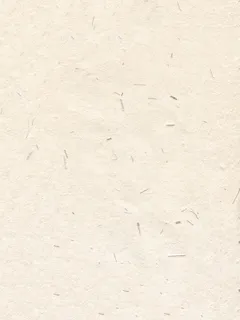 宣纸纹理图片 宣纸纹理图片