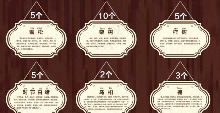 树木挂牌图片