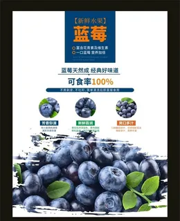 蓝莓海报图片