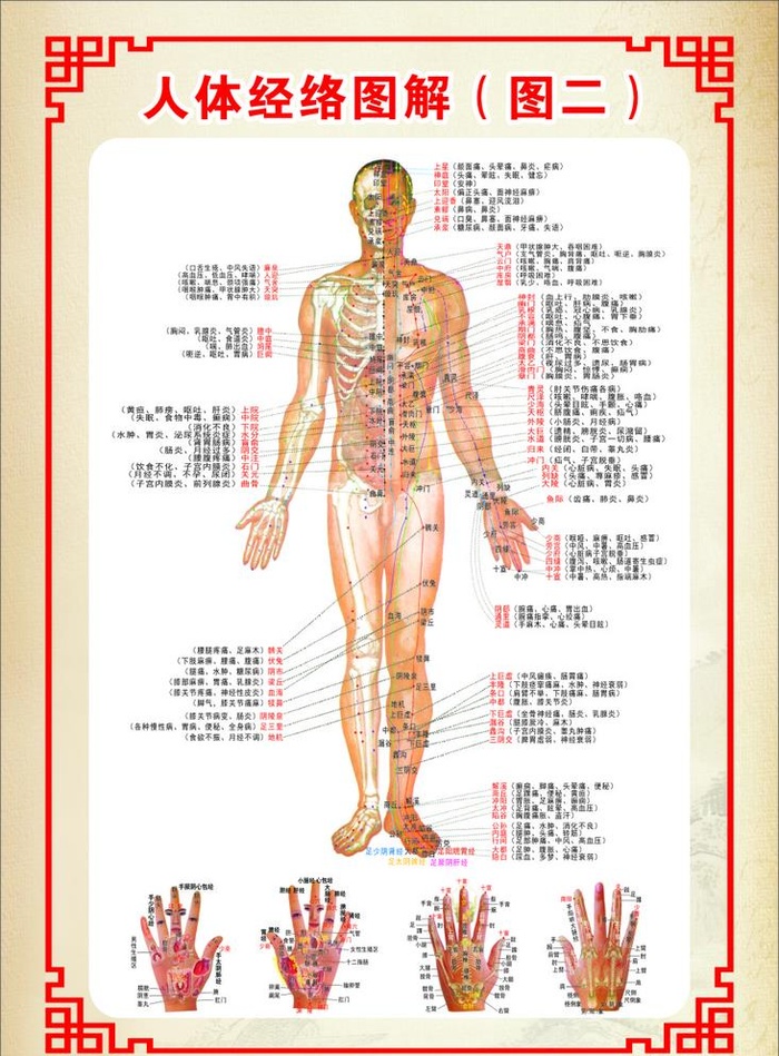 人体经络图解图片