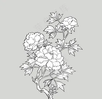 线稿 线描 简洁手绘 手绘画图片