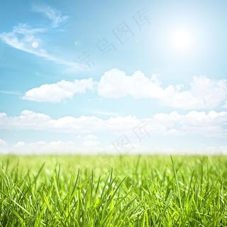 草地草场图片
