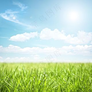 草地草场图片
