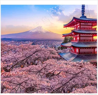 日本富士山樱花图片