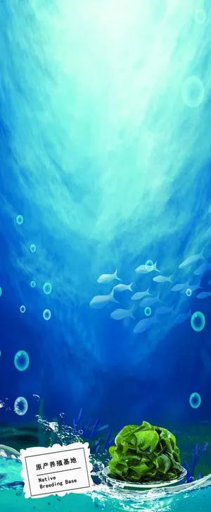 海底背景图片