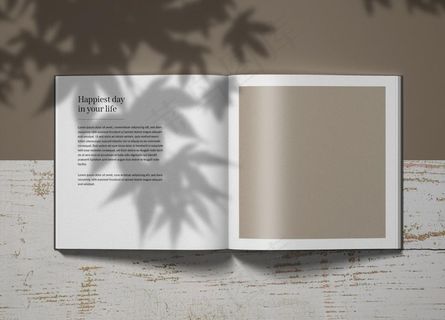 高端VI样机图片