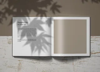 高端VI样机图片