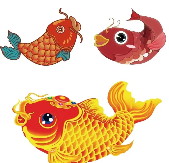 鲤鱼图片(2362x2362)psd模版下载