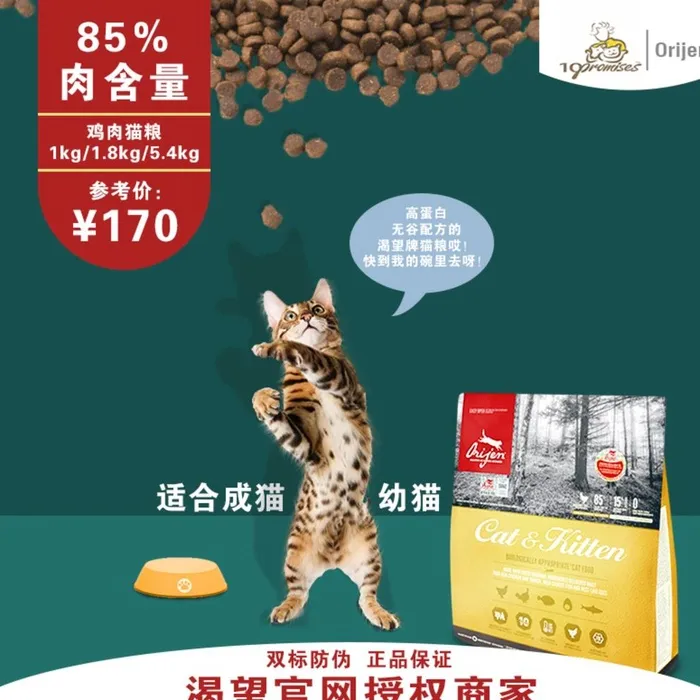 渴望猫粮鸡肉猫粮图片(800x800)psd模版下载