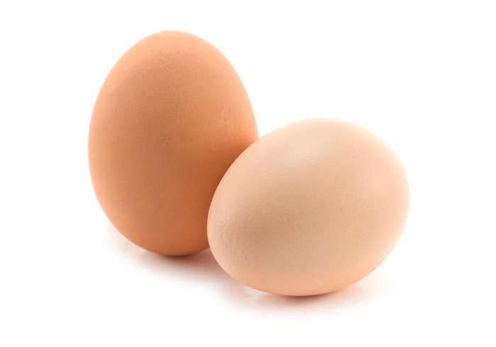 高清鸡蛋图图片