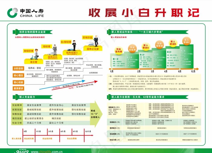 中国人寿培养育成体系图片cdr矢量模版下载