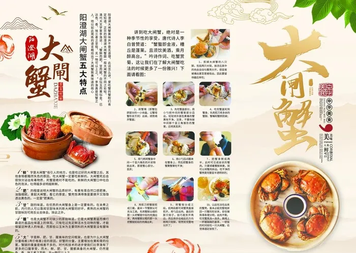 大闸蟹折页图片(3437x2551)psd模版下载