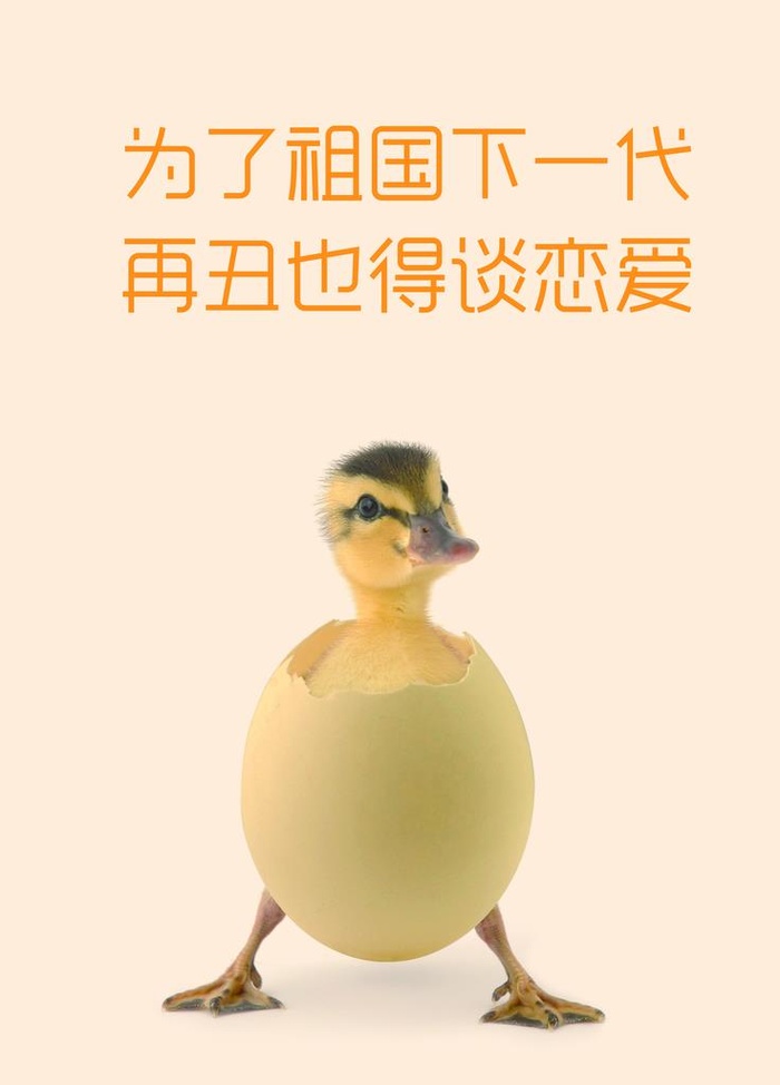 厕所搞笑挂牌图片(3543x4724)psd模版下载