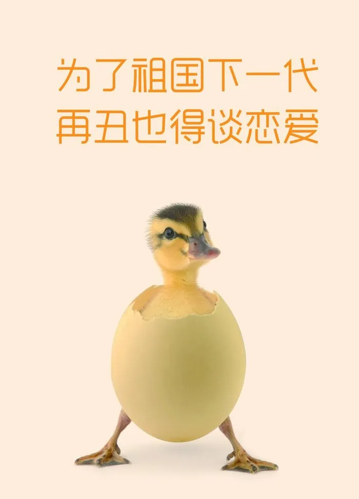 厕所搞笑挂牌图片(3543x4724)psd模版下载