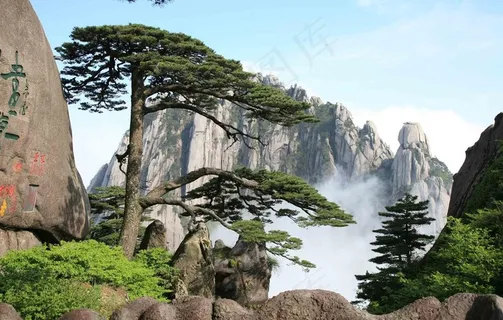 黄山迎客松图片
