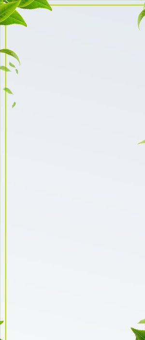 绿色小清新展架易拉宝背景图片