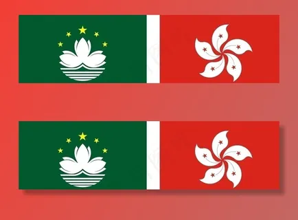 区旗图片 区旗图片
