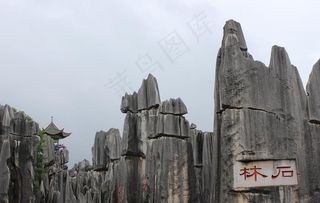 昆明石林图片