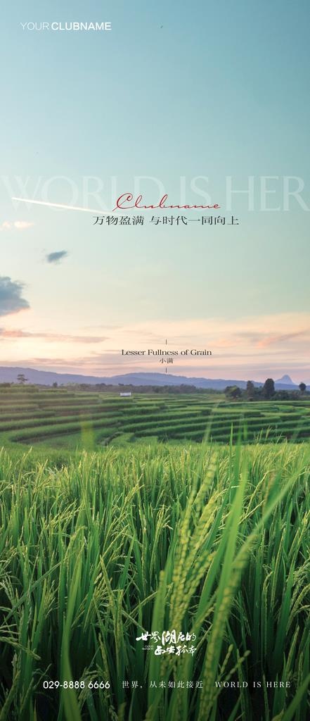 小满图片(2000x4333)psd模版下载