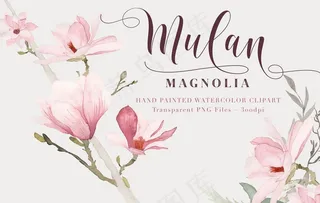 水彩绘画玉兰花图案图片