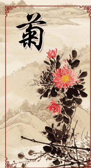 菊图片