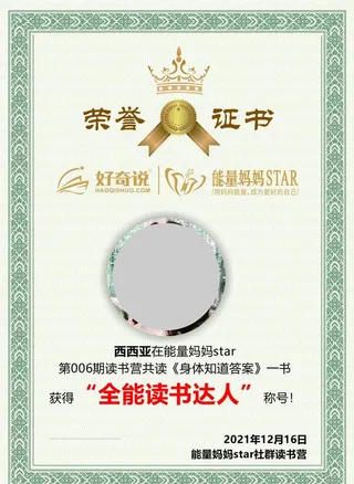 荣誉证书设计图片