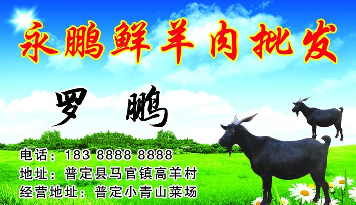 羊肉批发名片图片