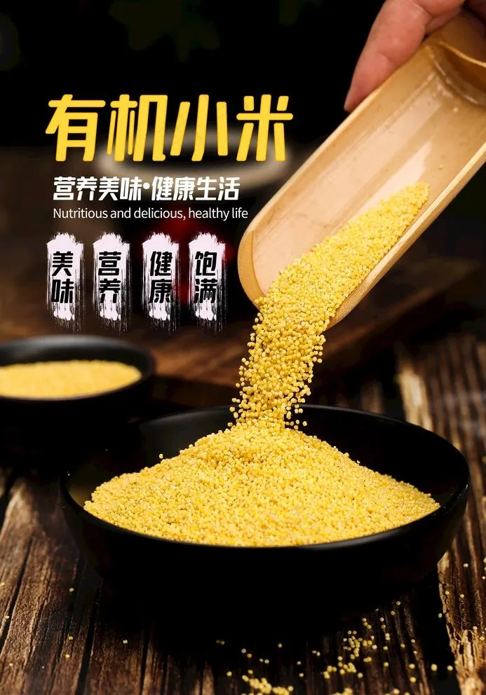 小米图片psd模版下载
