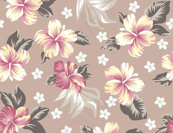 热带花卉图片(4724x3788)