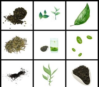 茶叶元素图片