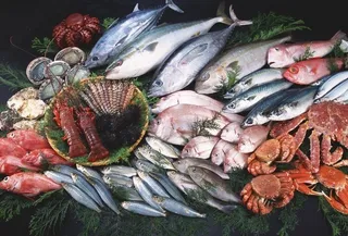 海产品图片