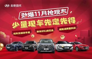 双11抢现车图片